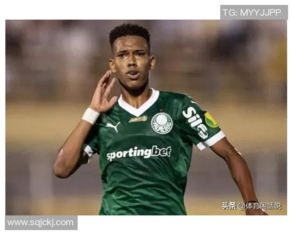 巴西足球队现役球星盘点与未来之星展望